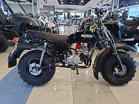 мотоцикл СКАУТ-3V 200