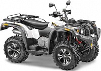 Квадроцикл STELS ATV 650 YS EFI LEOPARD 2023