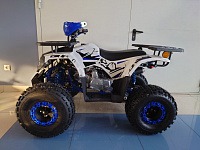 Квадроцикл ATV TRIXX 125