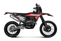 Эндуро PROGASI RACE 300 AIR (CB300RL)